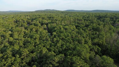 46-2 & 47 New Hampshire 153, Union, NH 03887 - photo 2