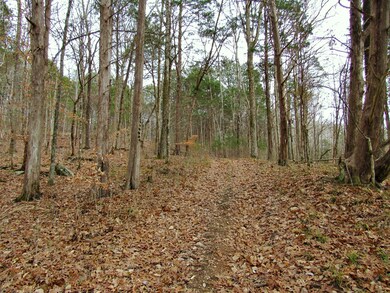 0 Mayberry Prong Rd unit 2105945, Linden, TN 37096 - photo 2