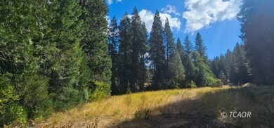 2971 13 Dips Rd, Hayfork, CA 96041 - photo 3