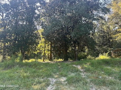 0 Mary Cochran Rd, Lucedale, MS 39452 - photo 2