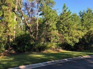 34 Ruddyduck Ct, Brunswick, GA 31523 - photo 2