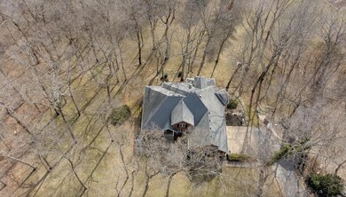 drone pic