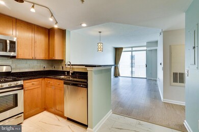 The Crescent unit 1002, Silver Spring, MD 20910 - photo 7