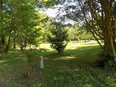 8510 N Kings Hwy, Texarkana, TX 75503 - photo 4