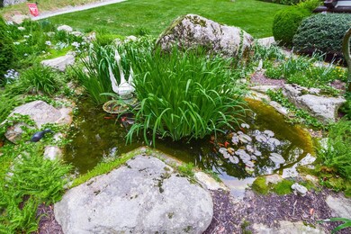 Goldfish Pond