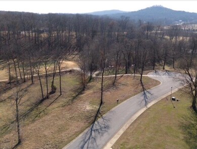 65 Eagle View Dr, Batesville, AR 72501 - photo 4