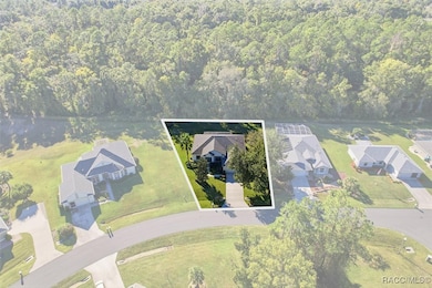 3542 N Chandler Dr, Hernando, FL 34442 - photo 3