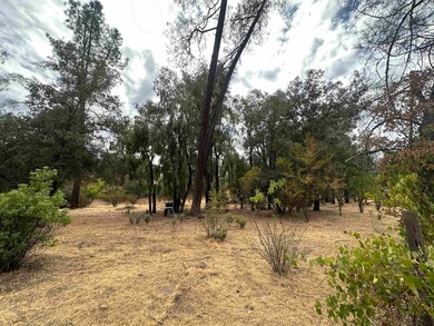 4733 Coyote Ln, Anderson, CA 96007 - photo 4