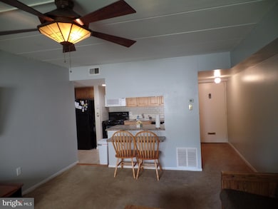 233 Township Line Rd unit 5B, Elkins Park, PA 19027 - photo 6