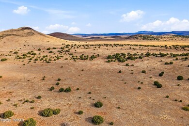 000 Tbd, Greer, AZ 85927 - photo 5