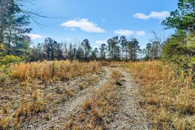 _11A6377-SMALL