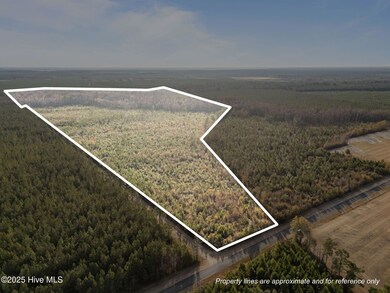 0, Aurora, NC 27806 - photo 3