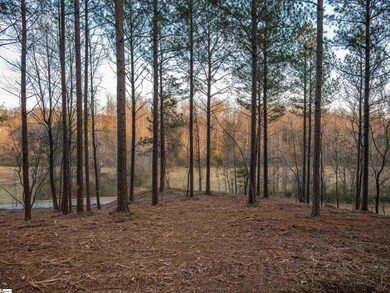 02 Concord Church Rd, Pickens, SC 29671 - photo 7