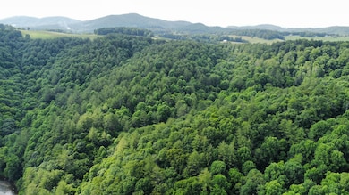 0 Island Ford Rd, Laurel Springs, NC 28644 - photo 3