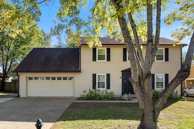 881 Birchfield Place, Southaven, MS 38671 - photo 3