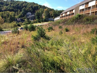 9999 Fallen Spruce Dr, Asheville, NC 28806 - photo 7