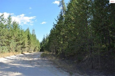 Chief Joseph Ln