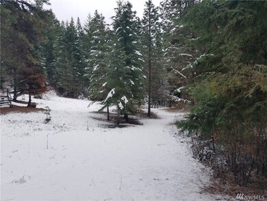 710 Highland Loop, Ronald, WA 98940 - photo 3