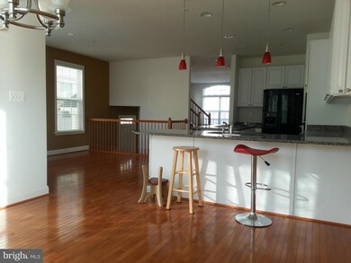 4317 Vintage Ivy Ln, Owings Mills, MD 21117 - photo 6