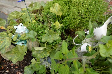 3 Surprise Garden Space