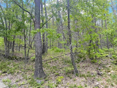 32 Upper Lake View Dr, Madison, NH 03849 - photo 4