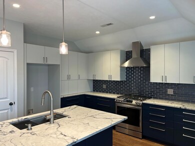 Sink & gas Range