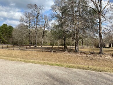 17206 Horseshoe Way, New Caney, TX 77357 - photo 5