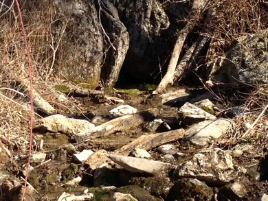 0 Timber Ridge Rd unit 716 126277, Fairfield, VA 24435 - photo 4