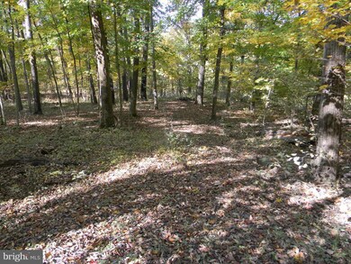 SECTION II Deer Rapids Rd, District 6, VA 22657 - photo 7