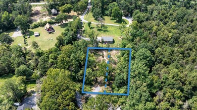 Lots 6 & 7 Fishermans Ln, Luray, VA 22835 - photo 4