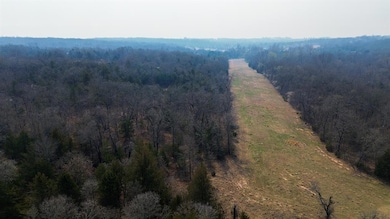 Bird's eye view featuring a forest view