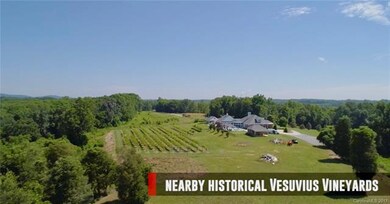 Lot 12 Vesuvius Furnace Rd, Iron Station, NC 28080 - photo 6