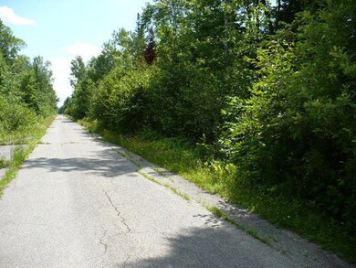 TBD McCarthy Rd, Pittsfield_Image 1