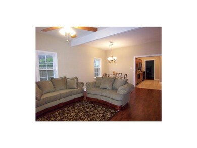 Living Room. Nice big living room - very spacious!