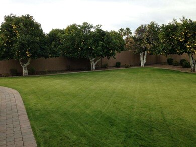 Backyard looking west