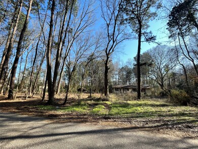 26294 Deer Creek Run, Cleveland, TX 77328 - photo 4