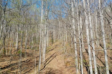 1,2 & 3 Top Drop Ln, Sylva, NC 28779 - photo 5