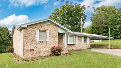 110 Richard Ln, Fall Branch, TN 37656 - photo 3