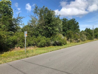 0 Bronco Dr unit O5945609, Saint Cloud, FL 34771 - photo 3