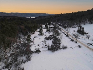 Lot 3 Oregon Rd, Gilbertsville, NY 13776 - photo 4