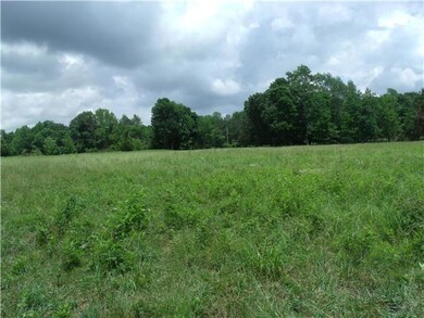 0 Nancy Greene Ridge Rd unit RTC1638790, Prospect, TN 38477 - photo 5