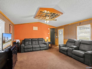 4685 Bluff Rd, Boaz, AL 35956 - photo 6