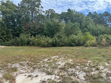 909 Wiregrass Rd, Hamlet, NC 28345 - photo 4