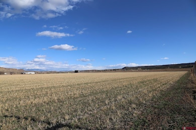 LucaTBD Lot 3 5790 Rd, Montrose, CO 81403 - photo 3