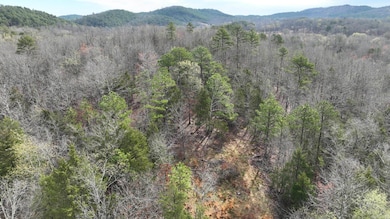 TBD Highway 8 E, Mena, AR 71953 - photo 5