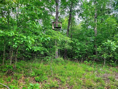 0 County Road 456, Beaver Dam Township, MO 63901 - photo 3