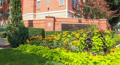 The Renaissance of River Oaks.