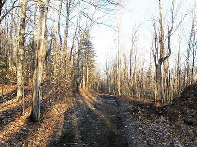 0 Weeks Rd, Warren, NH 03279 - photo 7