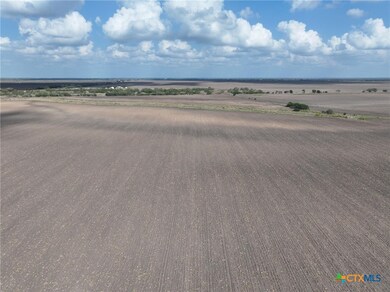 TBD Texas 359, Skidmore, TX 78389 - photo 4