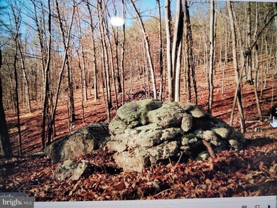 Lot 144 Trough View, Moorefield, WV 26836 - photo 3